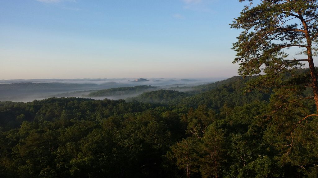 enjoy the view - viewtopia rock spring ga