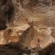 fricks cave scci caving spelunking