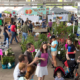 chattanooga market sundays