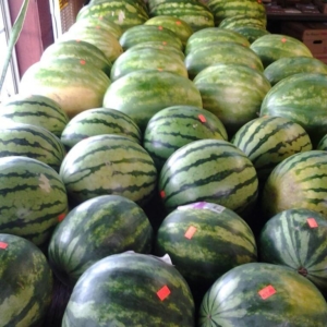rock spring produce