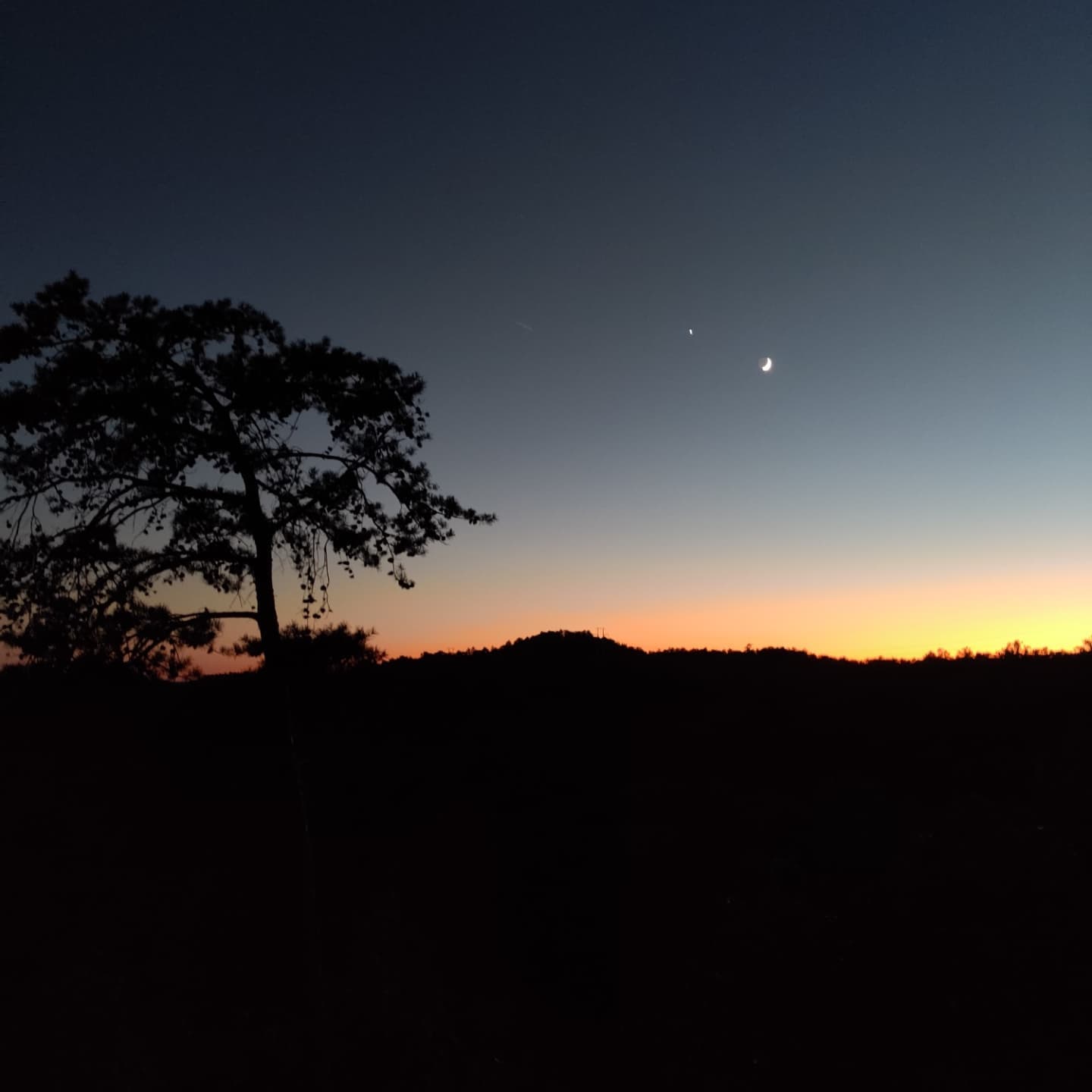 viewtopia sunset skyline moonlight